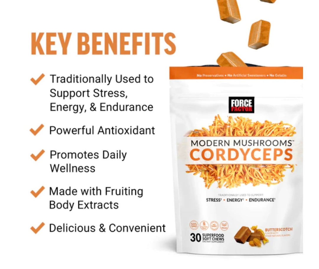 Modern Mushroom Cordyceps 30 Soft Chews